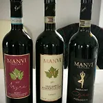 The Grapevine By Manvi Bed & Breakfast