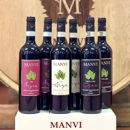 The Grapevine By Manvi 4* Montepulciano Stazione