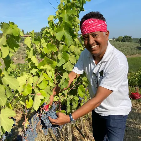 Frühstückspension The Grapevine By Manvi *