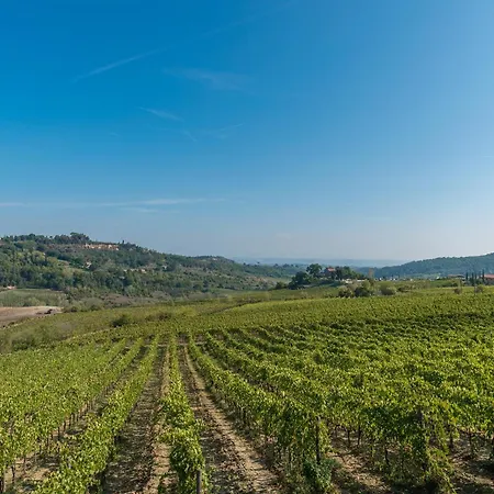 The Grapevine By Manvi * Montepulciano Stazione