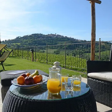 The Grapevine By Manvi Montepulciano Stazione