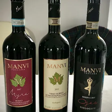 The Grapevine By Manvi فندق مبيت وإفطار